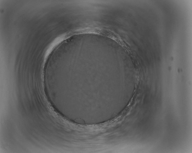 X0000073730006200608171240