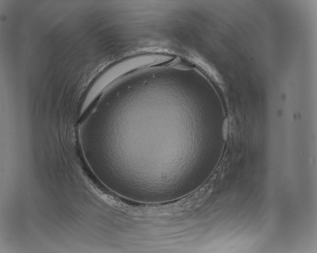 X0000073730009200608171240