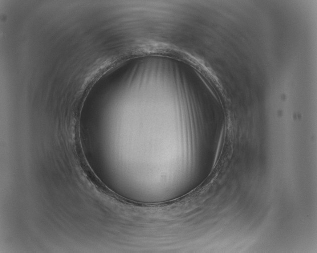 X0000073730010200608171240