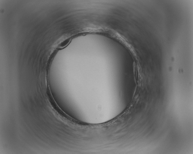 X0000073730011200608171240