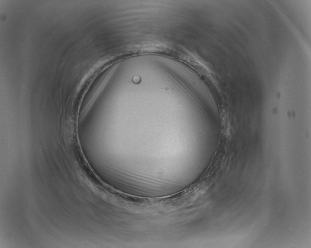 X0000073730012200608171240