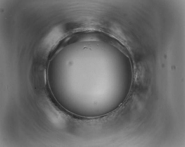 X0000073730013200608171240