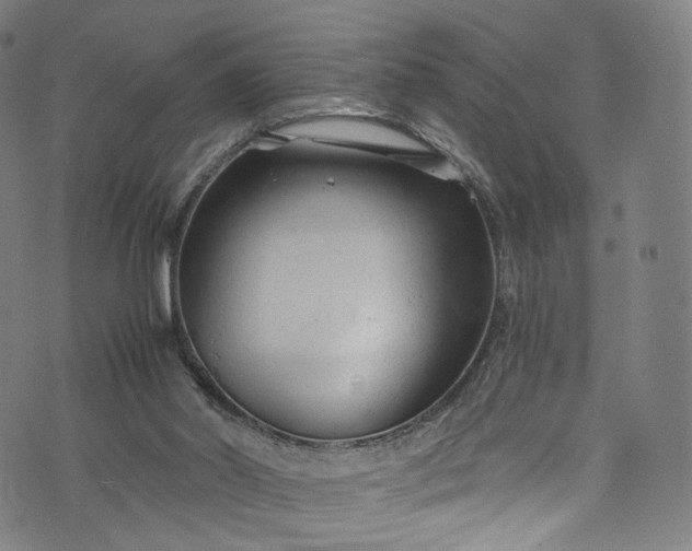 X0000073730014200608171240