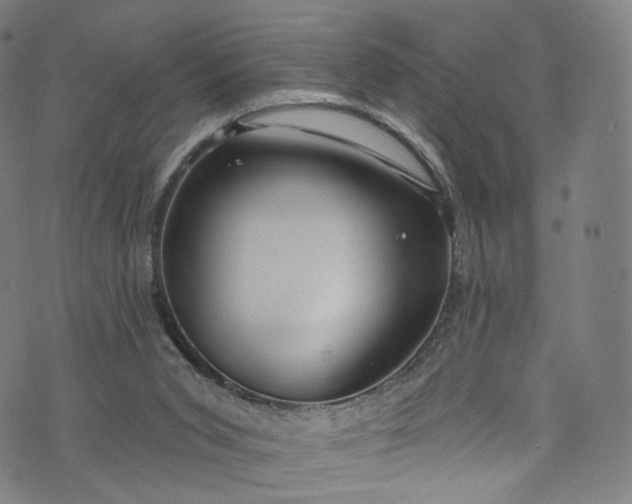 X0000073730015200608171240