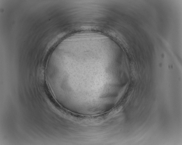 X0000073730016200608171240