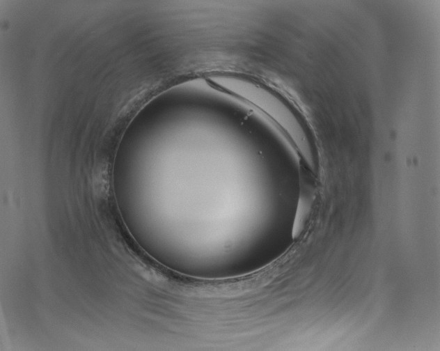 X0000073730017200608171240