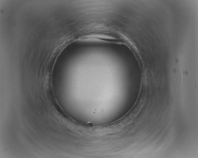 X0000073730018200608171240