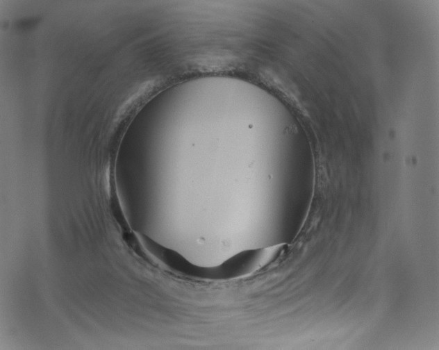 X0000073730019200608171240