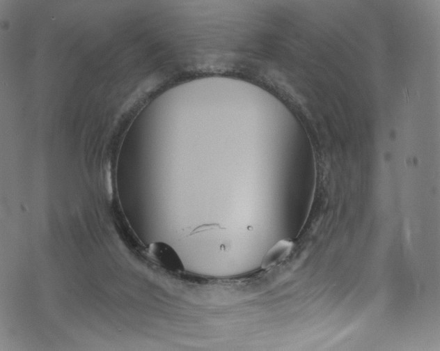 X0000073730020200608171240