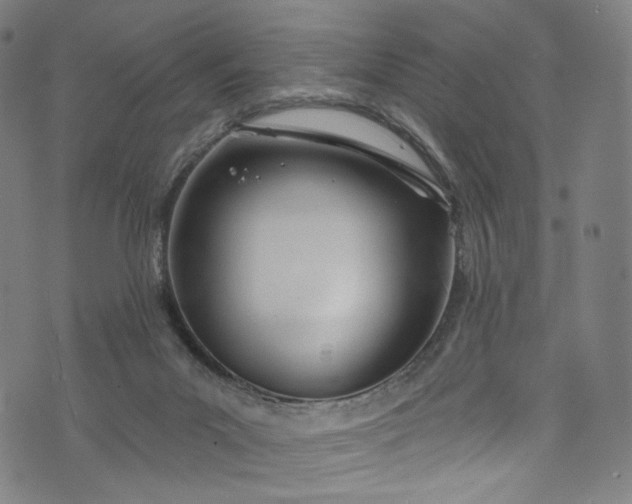 X0000073730023200608171240