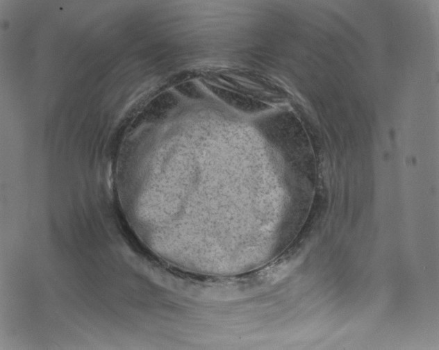 X0000073730024200608171240