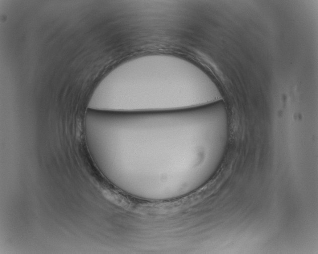 X0000073730025200608171240