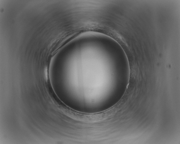 X0000073730027200608171240