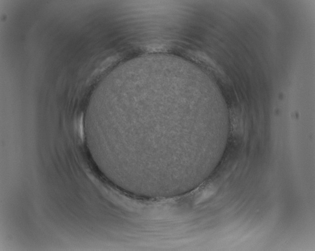 X0000073730028200608171240