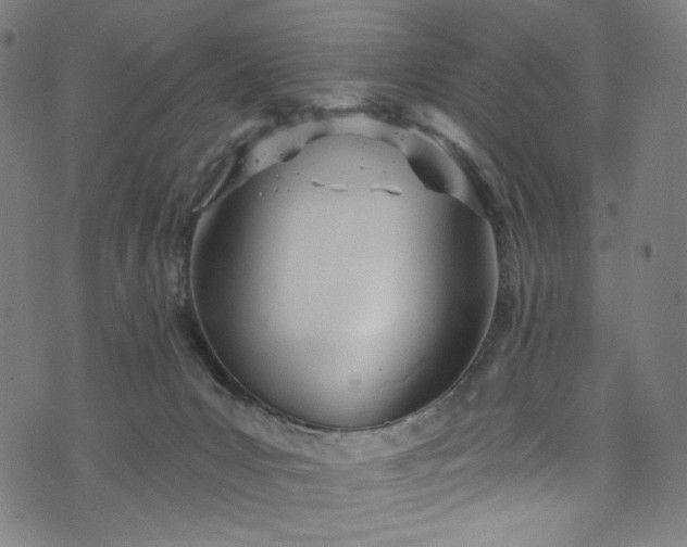 X0000073730031200608171240