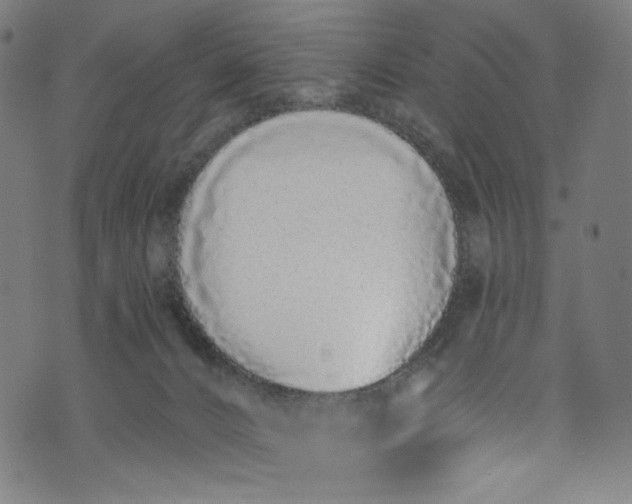 X0000073730032200608171240