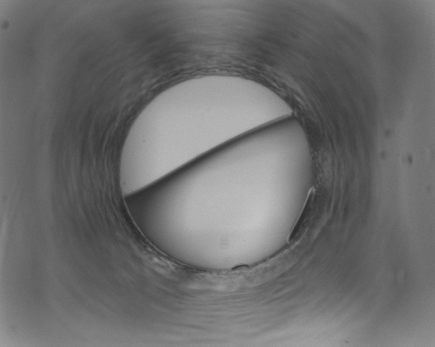 X0000073730033200608171240