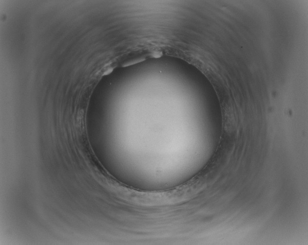 X0000073730034200608171240