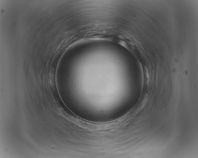 X0000073730035200608171240