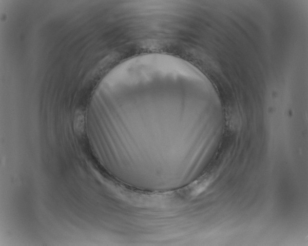 X0000073730036200608171240