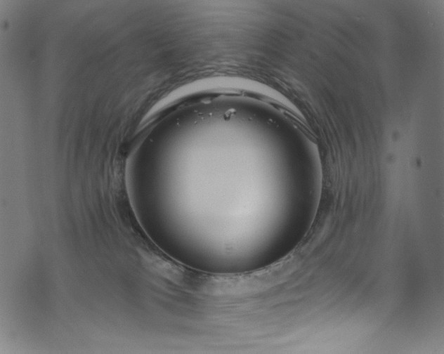 X0000073730037200608171240