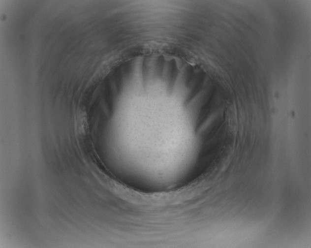 X0000073730038200608171240