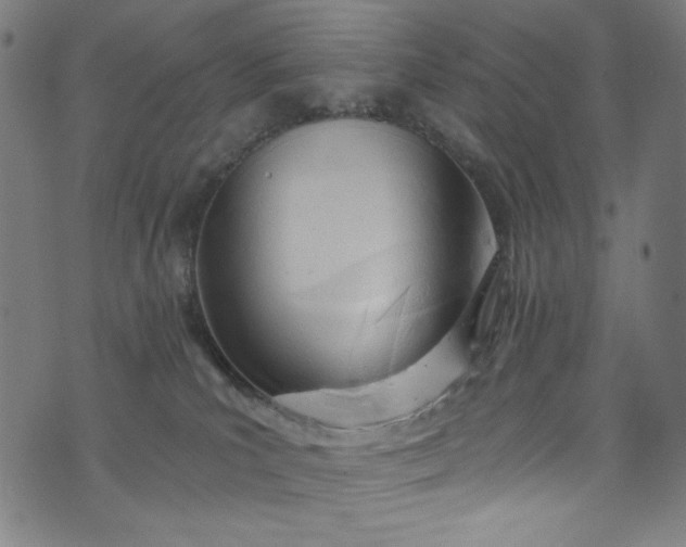 X0000073730039200608171240