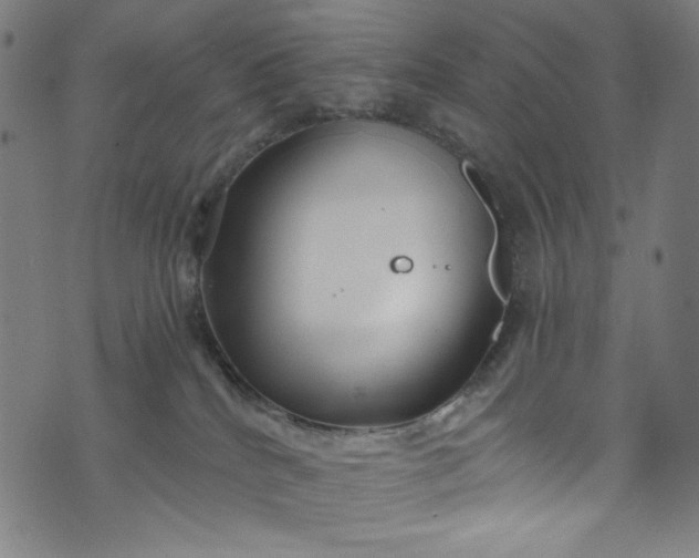 X0000073730040200608171240