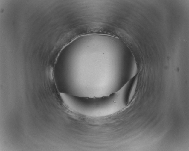 X0000073730041200608171240