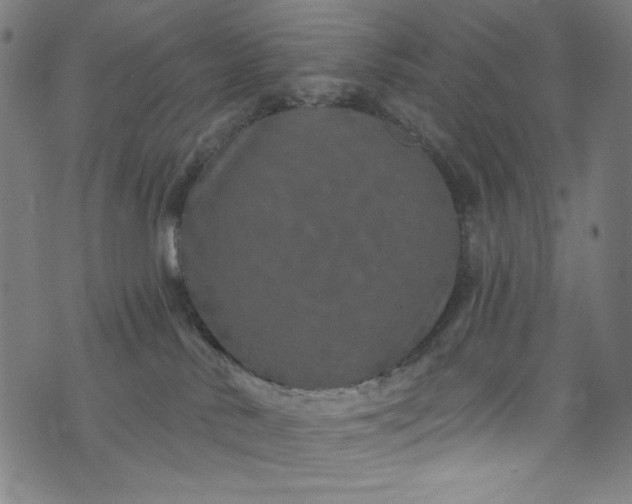 X0000073730042200608171240