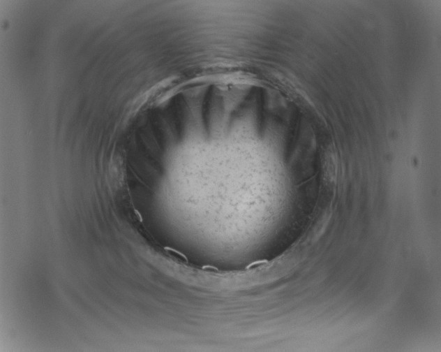 X0000073730043200608171240