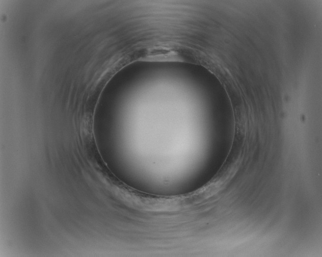 X0000073730044200608171240