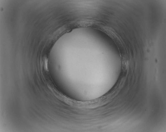 X0000073730046200608171240