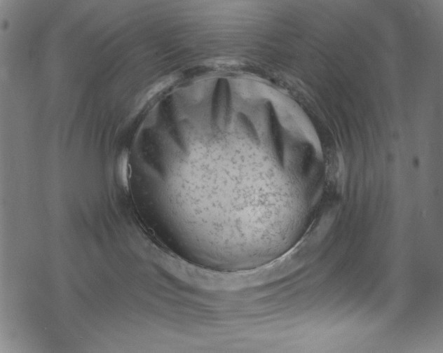 X0000073730047200608171240