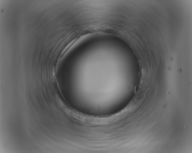 X0000073730048200608171240