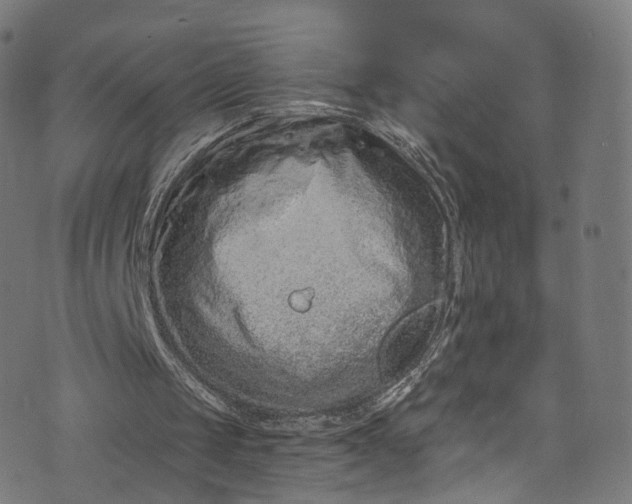 X0000073730049200608171239