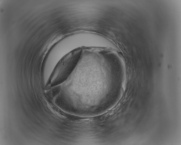 X0000073730050200608171239