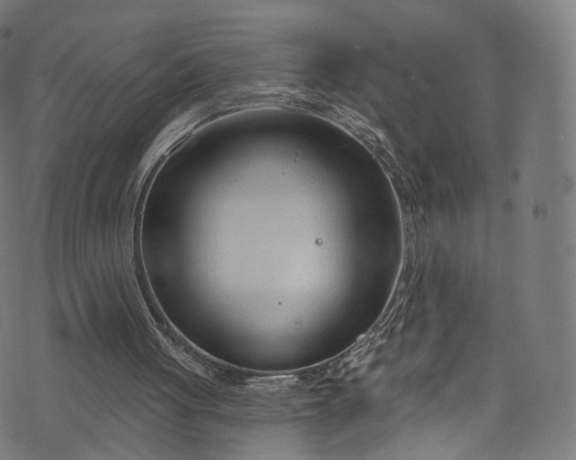 X0000073730051200608171239