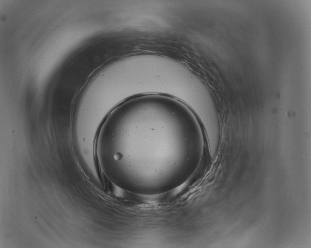 X0000073730052200608171239