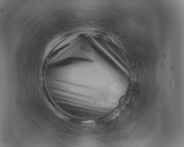 X0000073730053200608171239