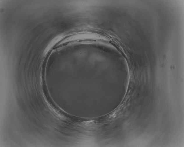 X0000073730054200608171239