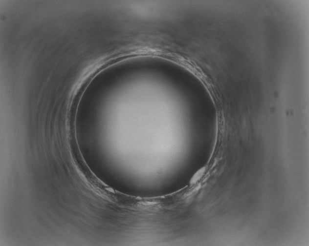 X0000073730055200608171239