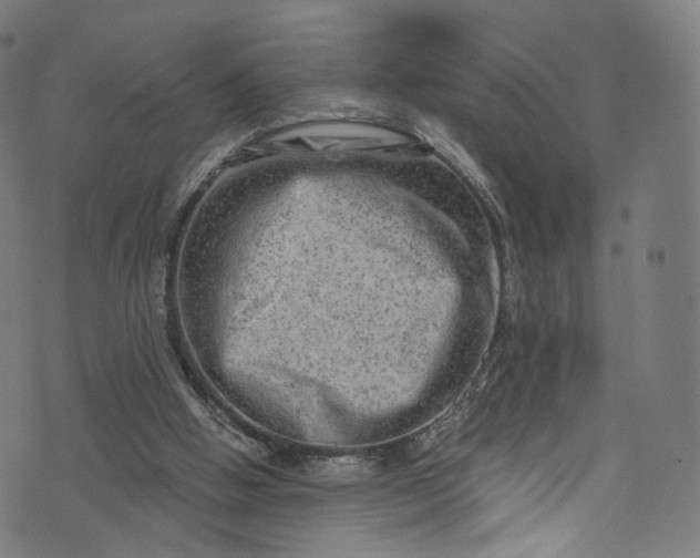 X0000073730058200608171239