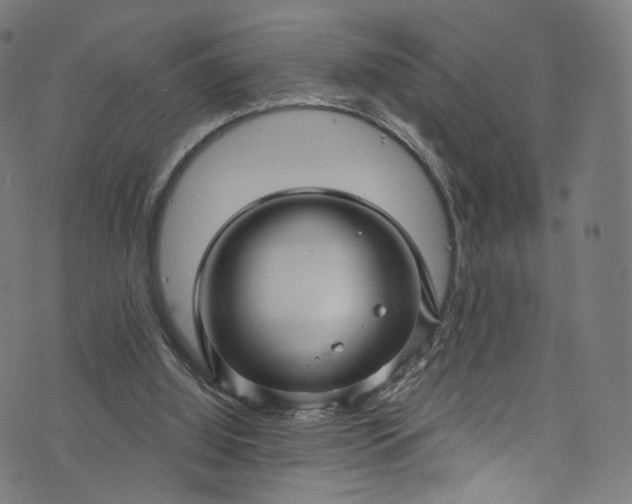 X0000073730060200608171239