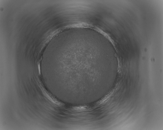 X0000073730061200608171239