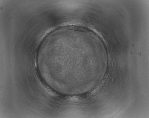 X0000073730062200608171239