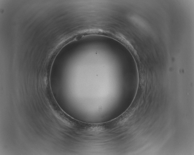 X0000073730063200608171239