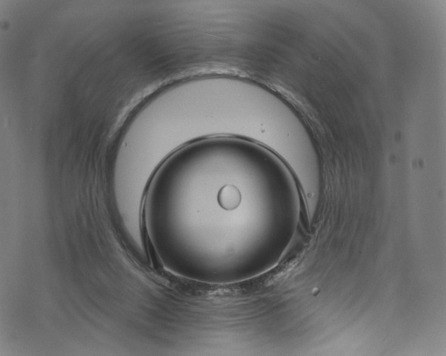 X0000073730064200608171239