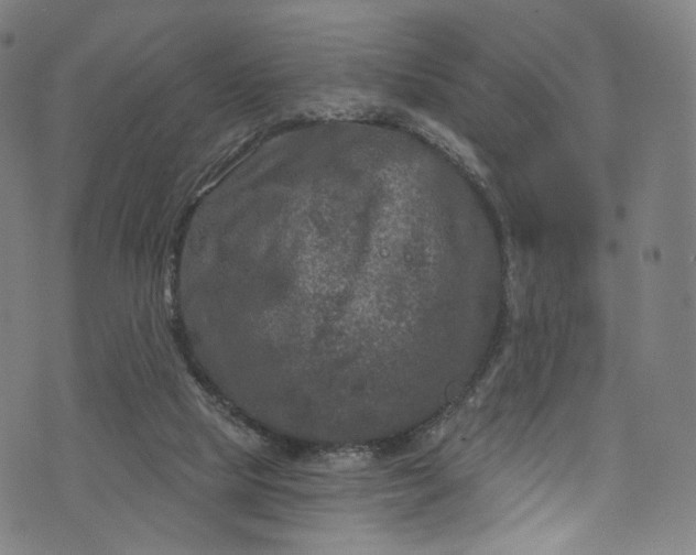 X0000073730065200608171239