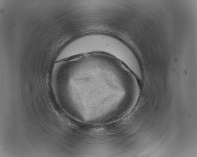 X0000073730066200608171239